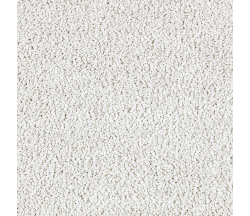 Exquisite Beauty Triexta Celestial 505 Carpet Textured 1