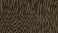 Distinct Flair Triexta Cocoa 521 Carpet Pattern 1