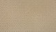 Remarkable Elegance Triexta Fragile Beauty 504 Carpet Pattern 1