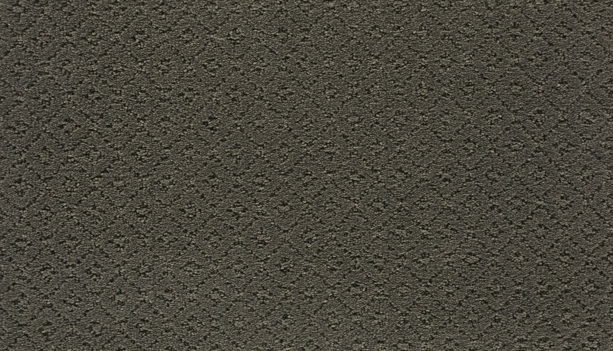 Remarkable Elegance Triexta Shadow 513 Carpet Pattern 1