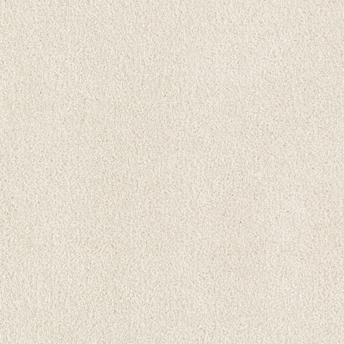 Impressive Selection Triexta Winter Wind 568 Carpet Textured 1