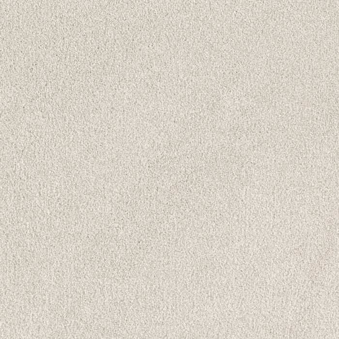 Ideal Outlook Triexta Stellar 504 Carpet Textured 1
