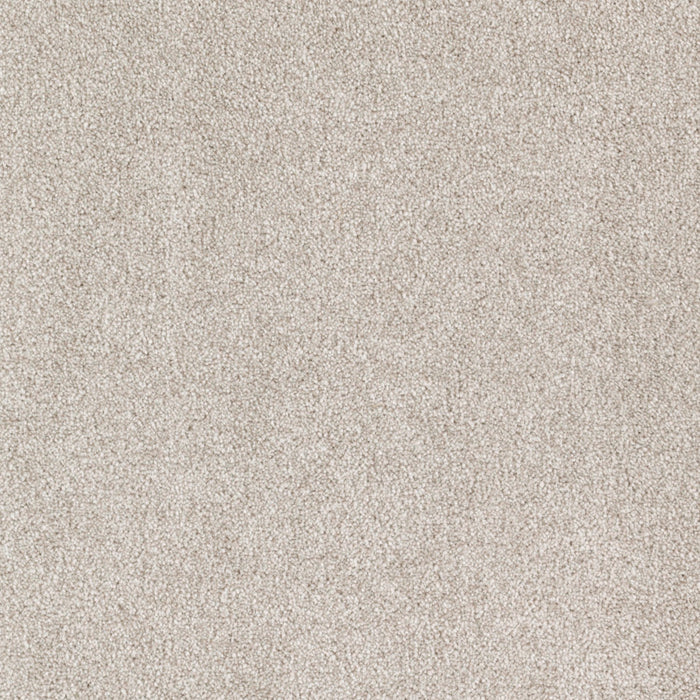 Impressive Selection Triexta Haven 572 Carpet Textured 1