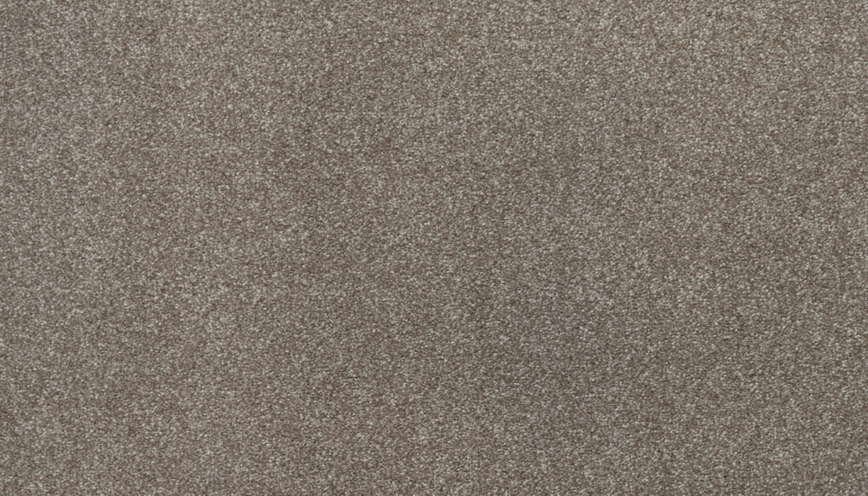 Ideal Outlook Triexta Tradition 514 Carpet Textured 1