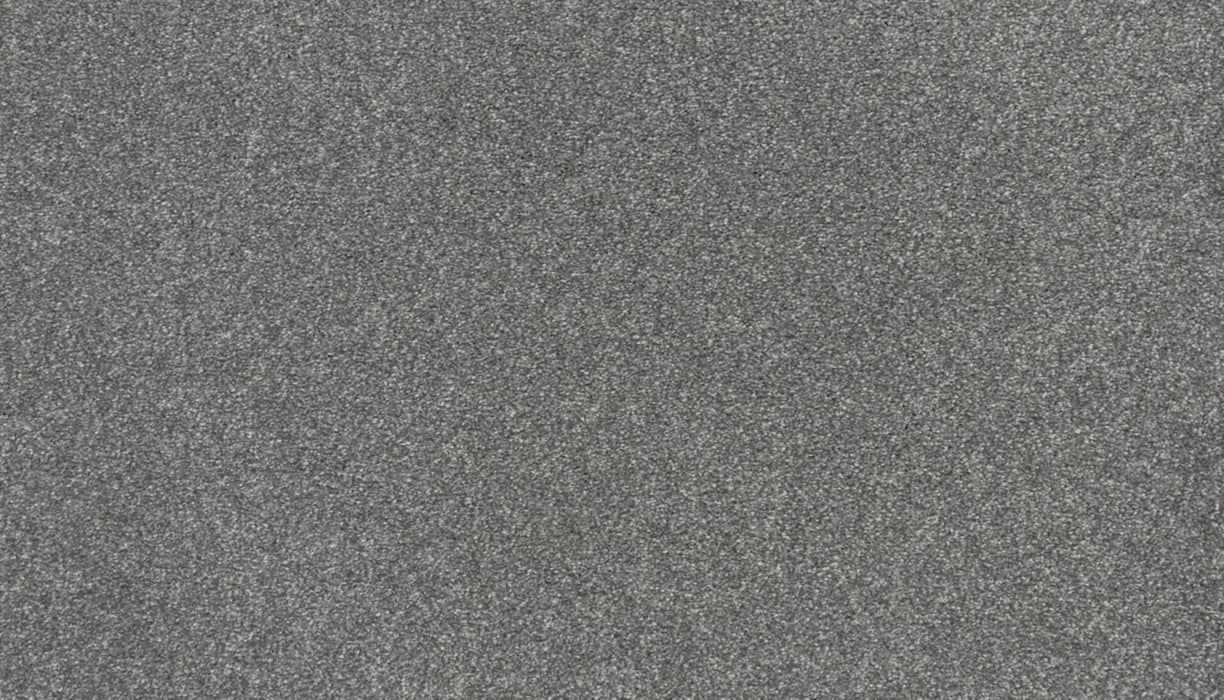 Ideal Outlook Triexta Dignified 512 Carpet Textured 1