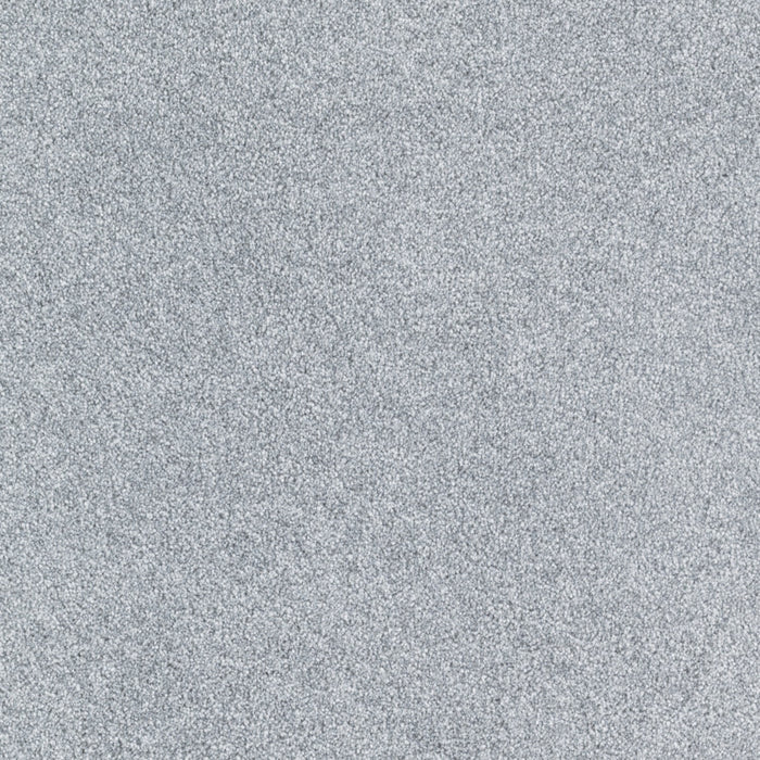 Brilliant Idea Triexta Empress 574 Carpet Textured 1