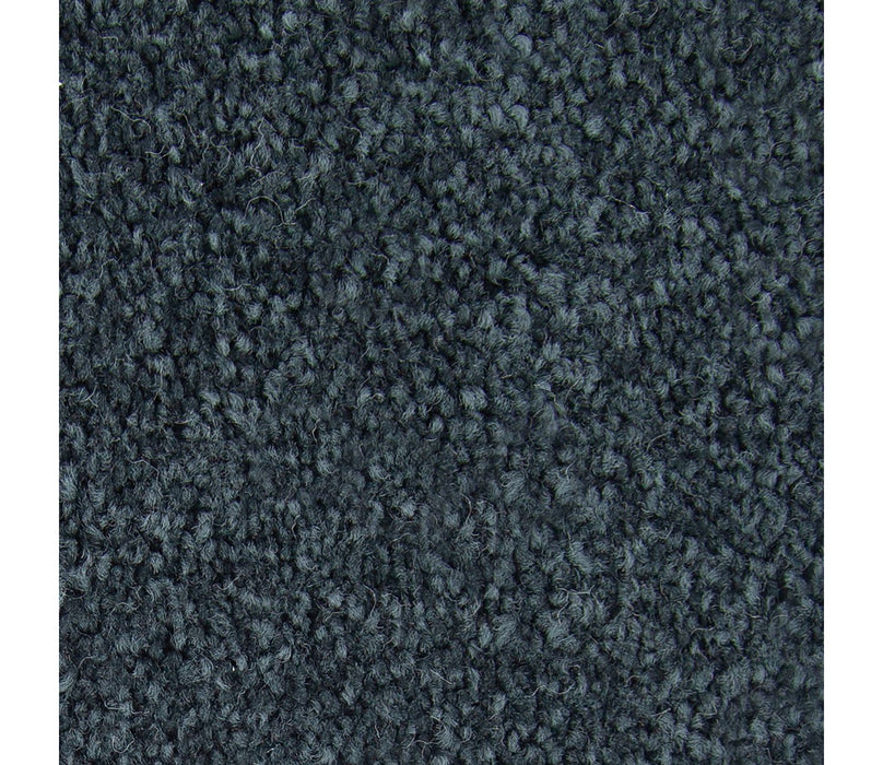 Noteworthy Selection Triexta Peacock Feather 540 Carpet Textured 1