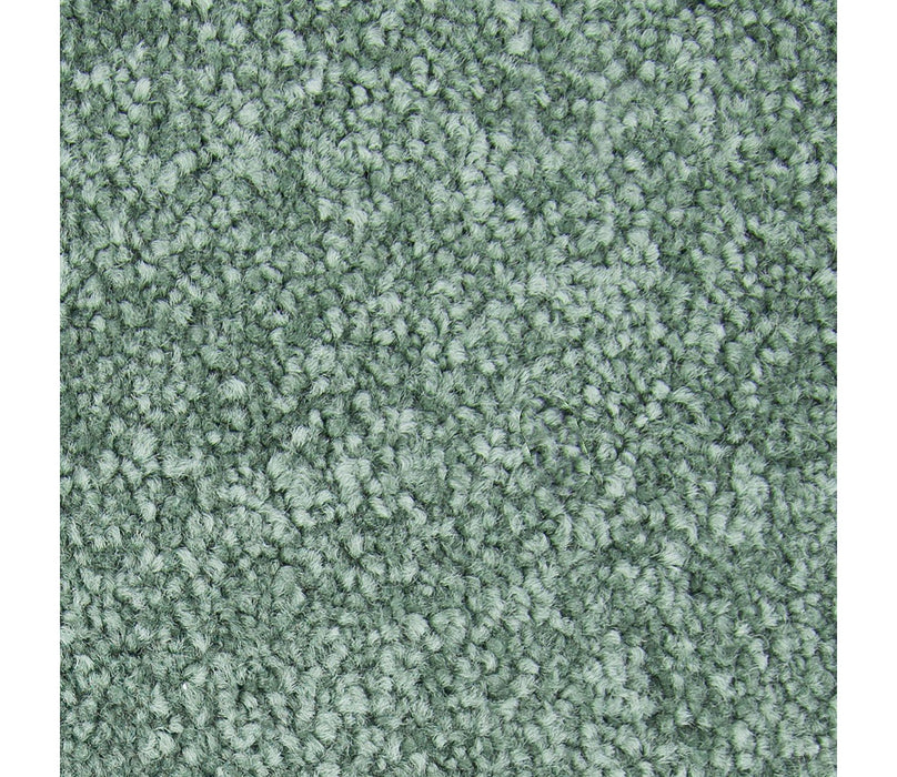Noteworthy Selection Triexta Aloe 530 Carpet Textured 1
