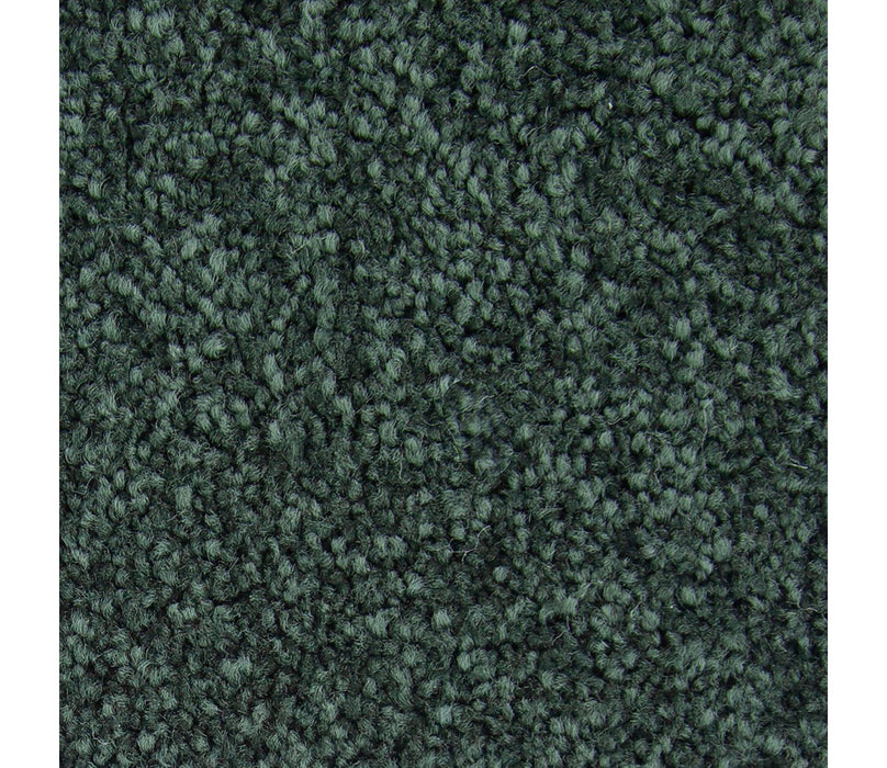 Noteworthy Selection Triexta Eden 528 Carpet Textured 1