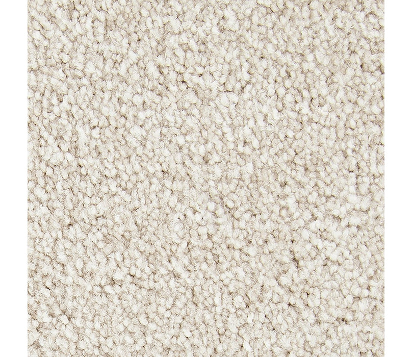 Noteworthy Selection Triexta Harmonious 525 Carpet Textured 1