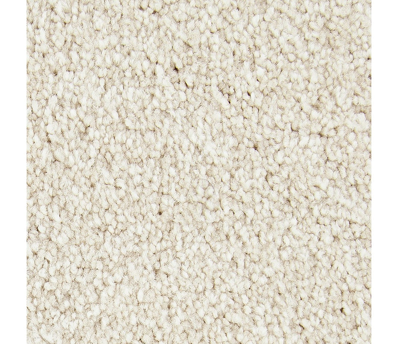 Noteworthy Selection Triexta Balsam Beige 526 Carpet Textured 1