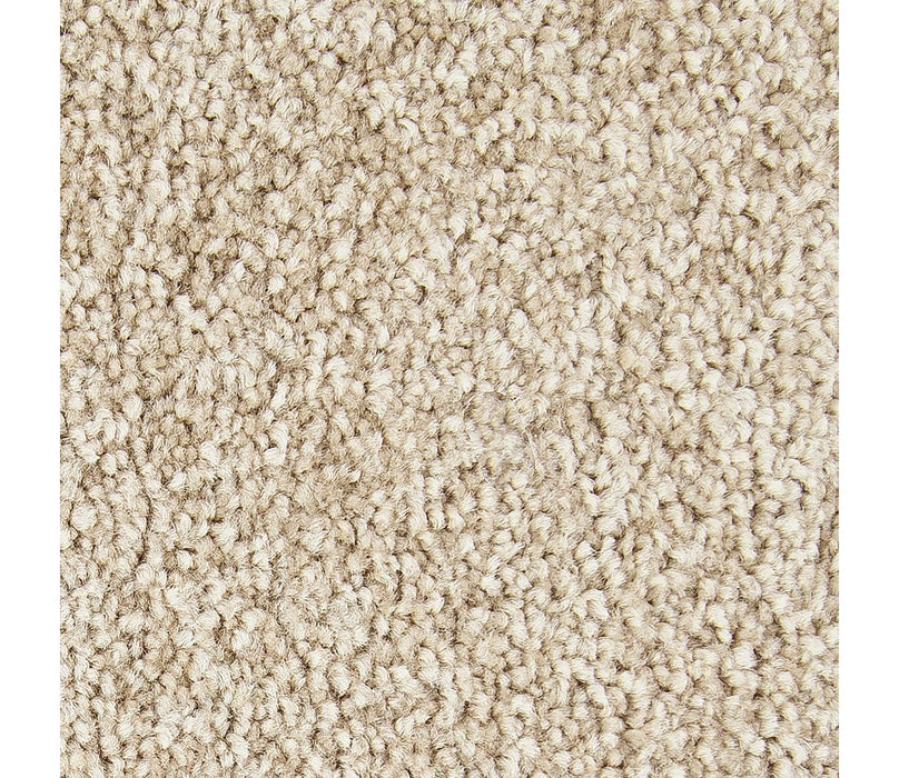 Noteworthy Selection Triexta Canyon Shade 550 Carpet Textured 1
