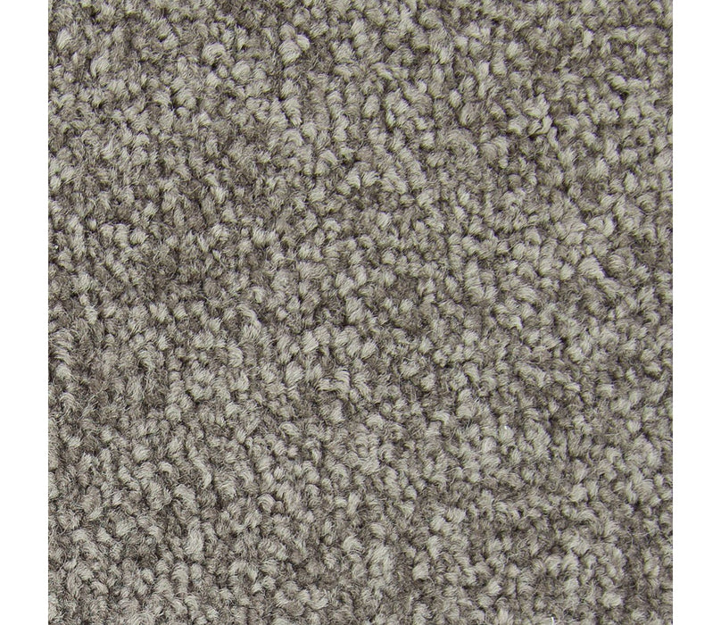 Noteworthy Selection Triexta Weathered Plank 558 Carpet Textured 1