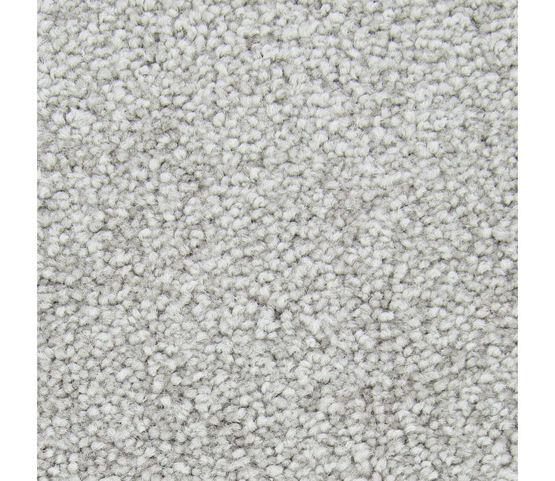 Noteworthy Selection Triexta Graphite 532 Carpet Textured 1