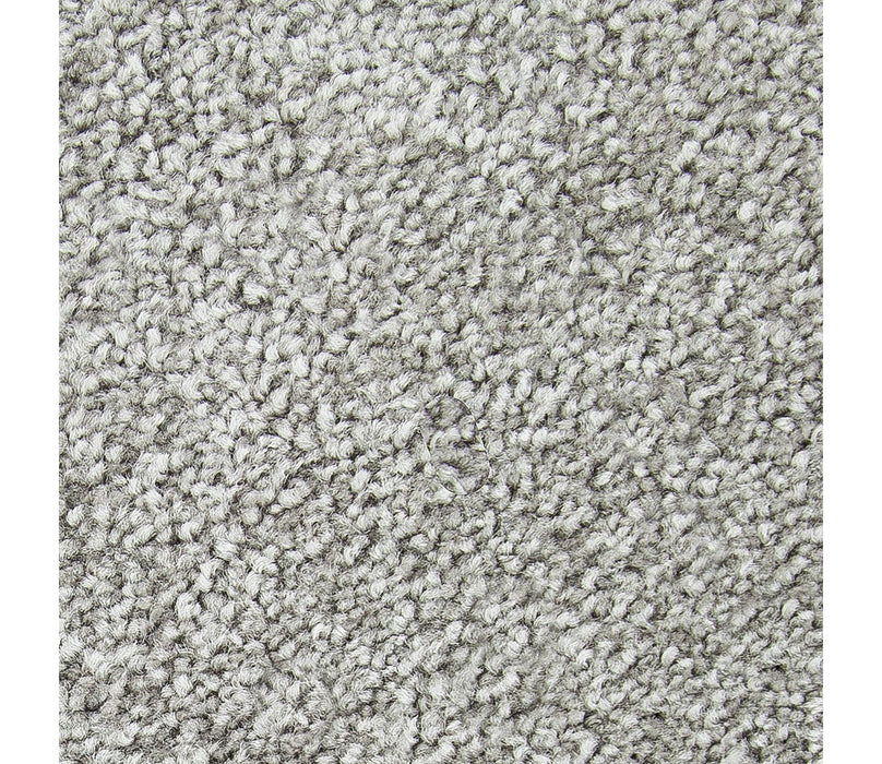 Noteworthy Selection Triexta Rocky Bluff 533 Carpet Textured 1