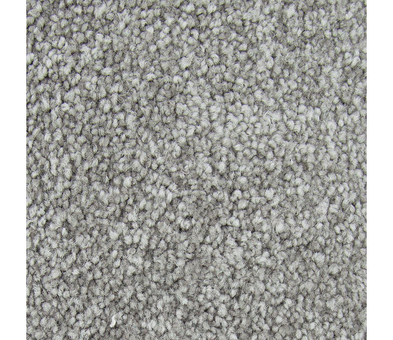 Noteworthy Selection Triexta Aspen 544 Carpet Textured 1
