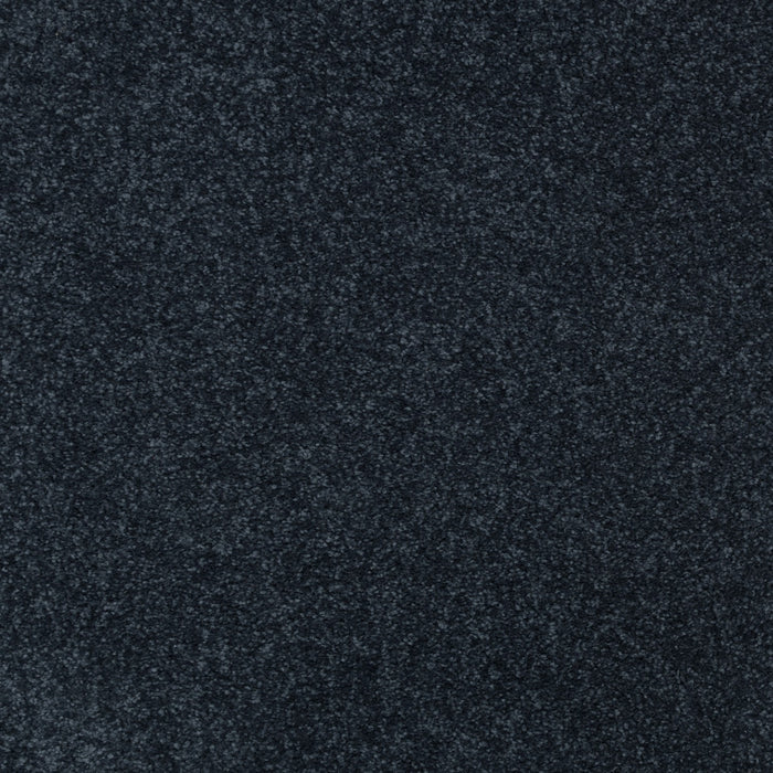 Striking Option Triexta Classic Navy 552 Carpet Textured 1