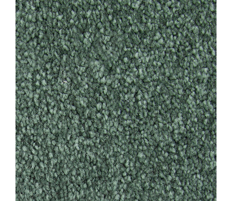 Striking Option Triexta Balsam 529 Carpet Textured 1