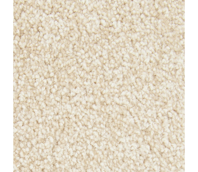 Striking Option Triexta Mission 538 Carpet Textured 1