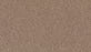 Lakewood Drive II Triexta Crossing 779 Carpet Textured 1