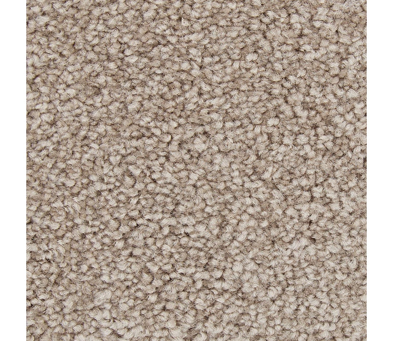 Striking Option Triexta Mushroom Cap 536 Carpet Textured 1