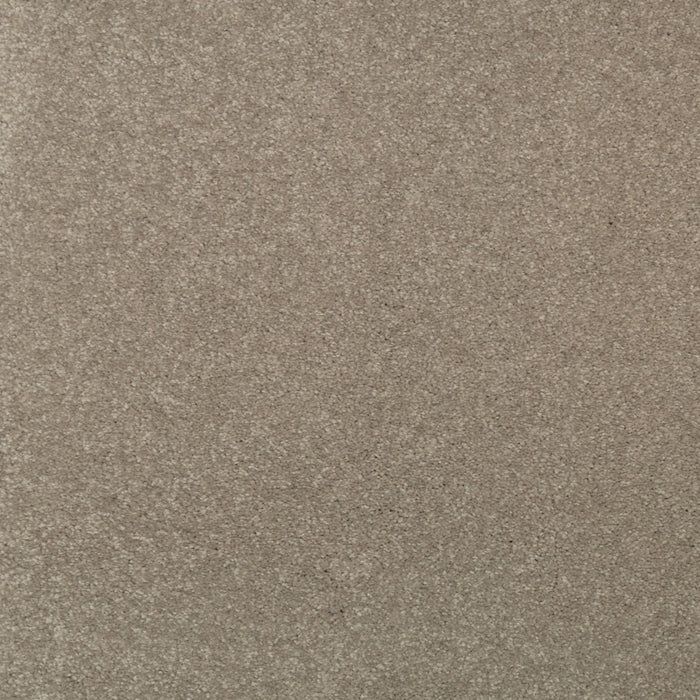 Striking Option Triexta Walnut Frost 535 Carpet Textured 1