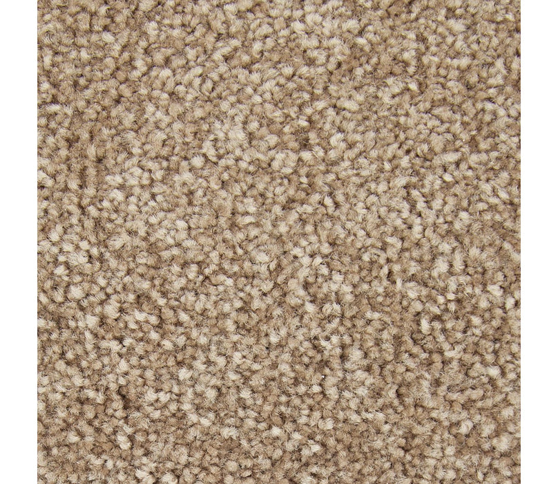 Striking Option Triexta Nouveau 561 Carpet Textured 1
