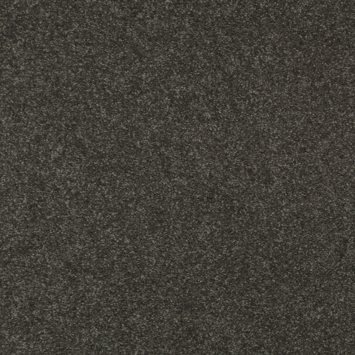 Striking Option Triexta Weathered Plank 558 Carpet Textured 1