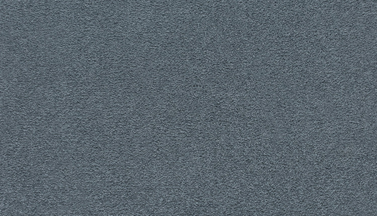 Quality Living III Triexta Chroma 559 Carpet Textured 1