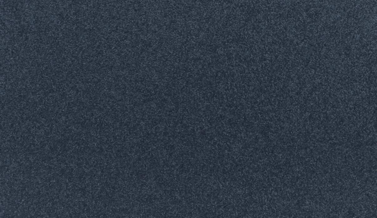 Quality Living III Triexta Zephyr 585 Carpet Textured 1