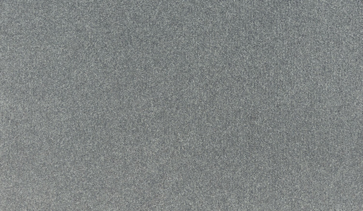 Quality Living III Triexta Arcus 611 Carpet Textured 1