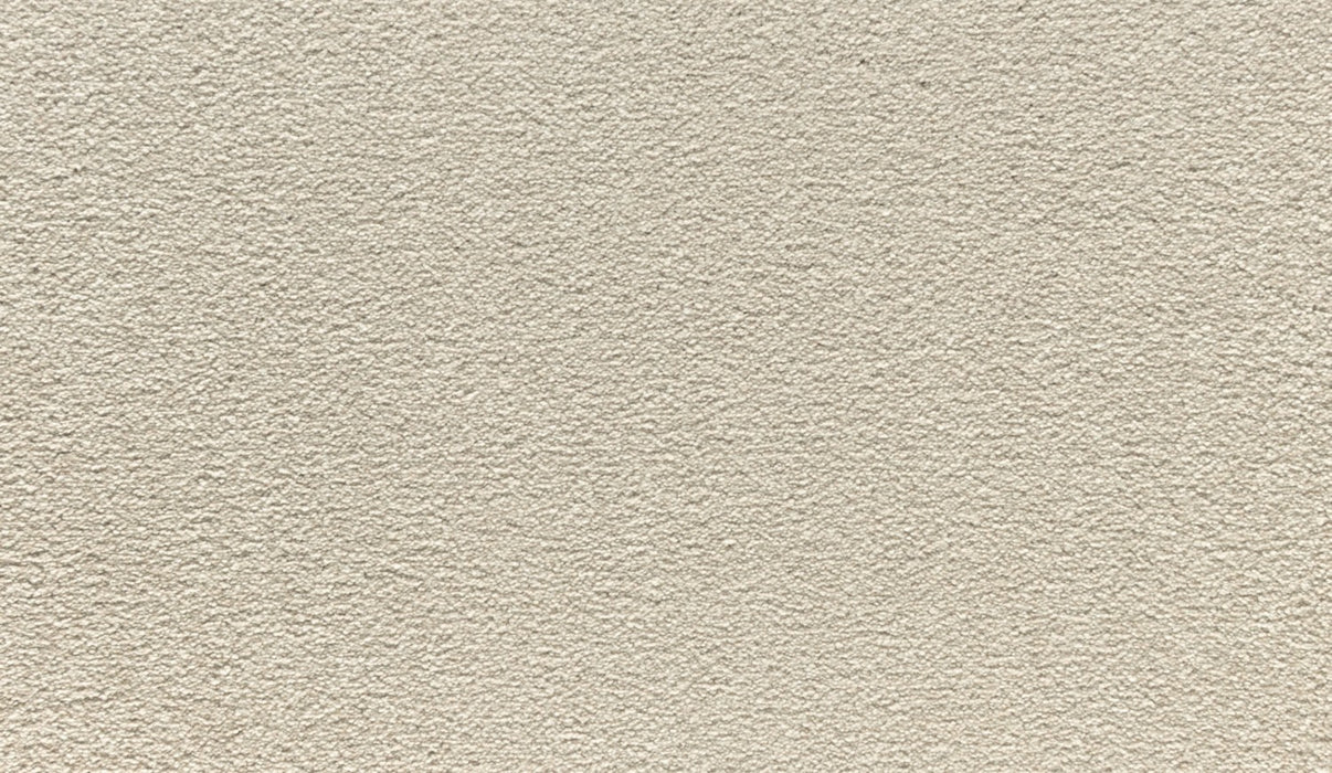 Quality Living III Triexta Shorescape 742 Carpet Textured 1