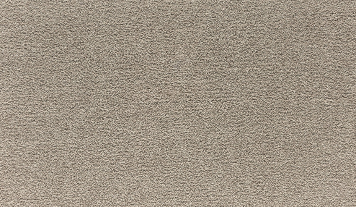 Quality Living III Triexta Midsummer Light 775 Carpet Textured 1