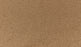 Quality Living III Triexta Clove 851 Carpet Textured 1