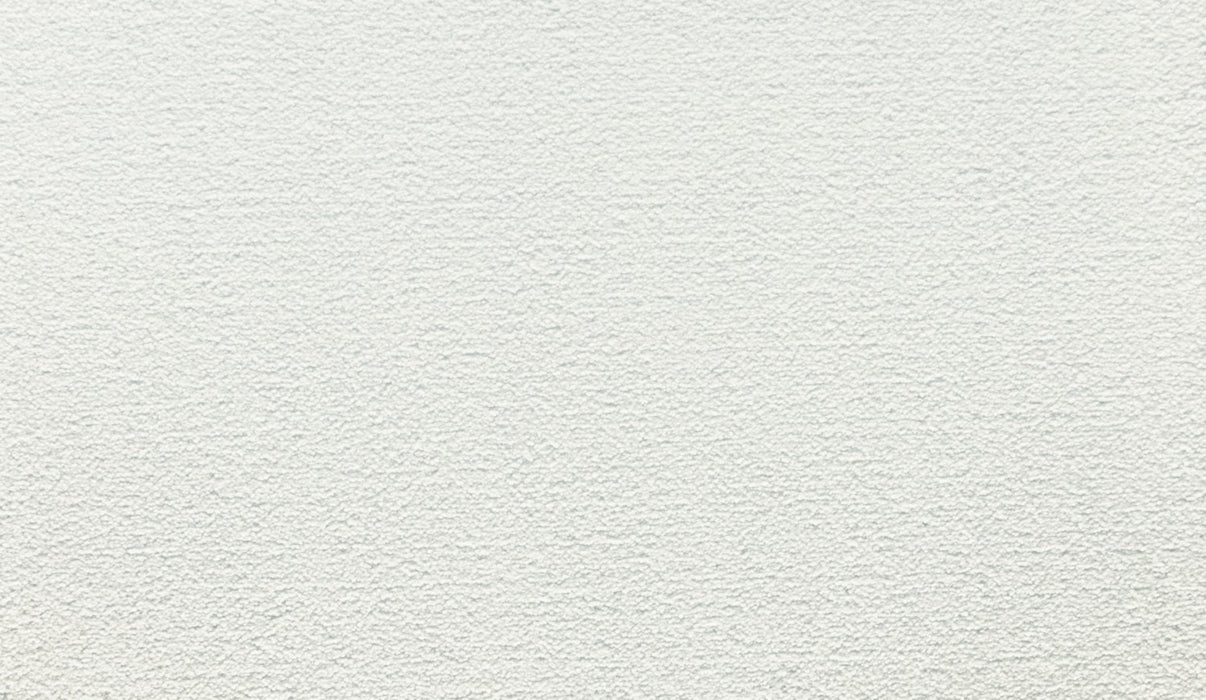 Quality Living III Triexta Glacier 903 Carpet Textured 1