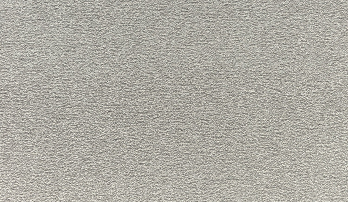 Quality Living III Triexta Haze 911 Carpet Textured 1