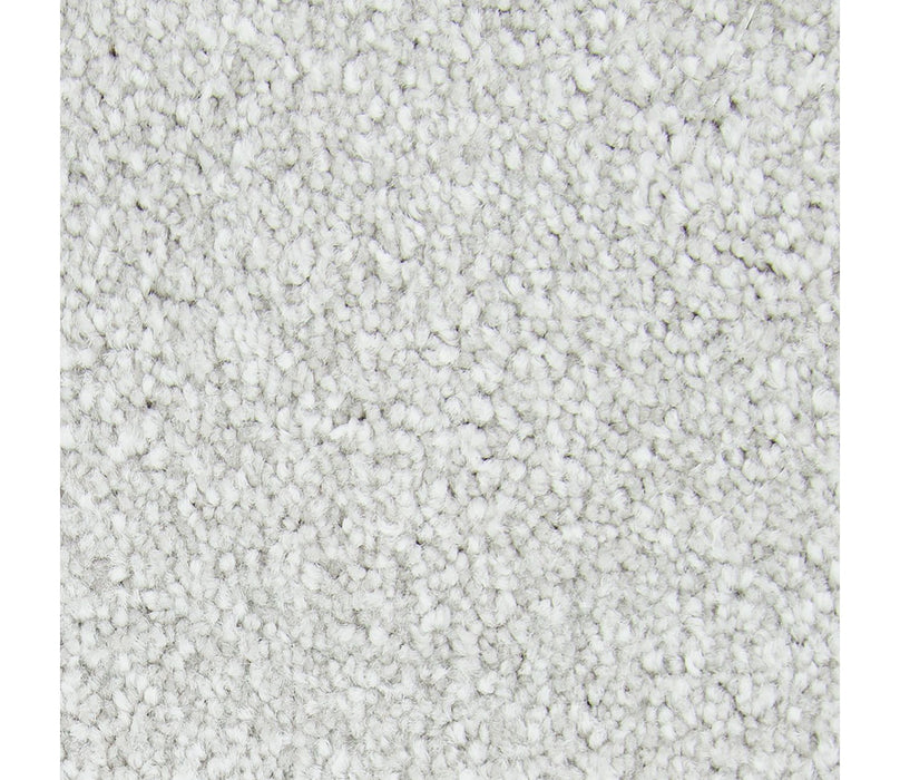 Memorable View Triexta Platinum 520 Carpet Textured 1