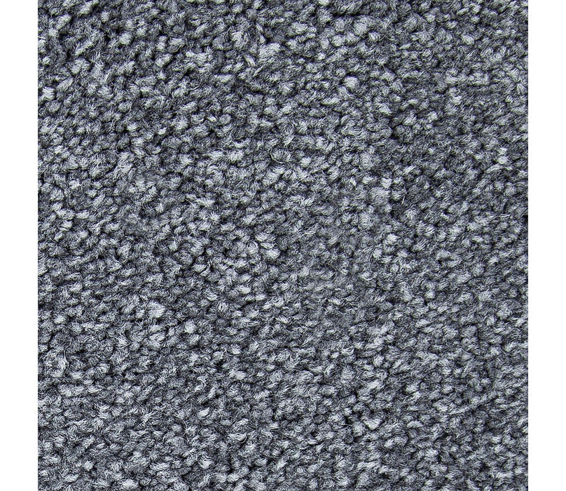 Memorable View Triexta Brushed Metal 543 Carpet Textured 1