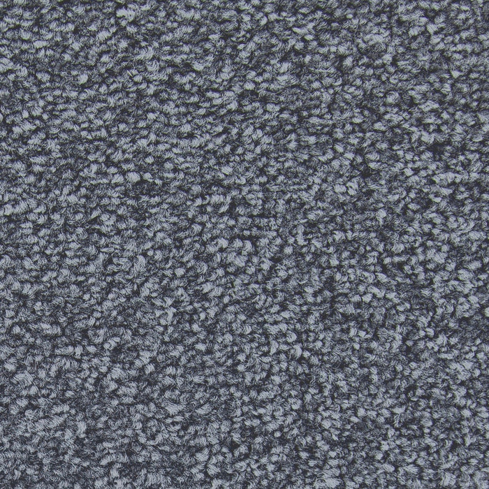 Memorable View Triexta Magnetic 555 Carpet Textured 1