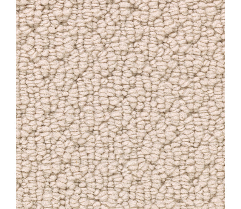 Tailored Essence Triexta Chiffon 510 Carpet Textured 1