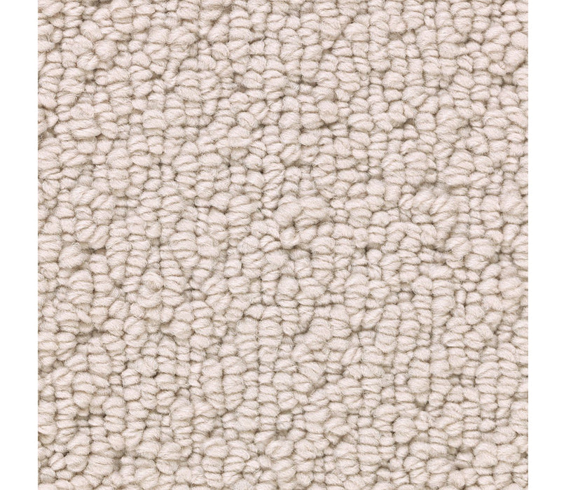 Tailored Essence Triexta Cashmere 504 Carpet Textured 1
