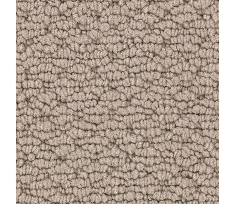 Tailored Essence Triexta Folkstone 513 Carpet Textured 1
