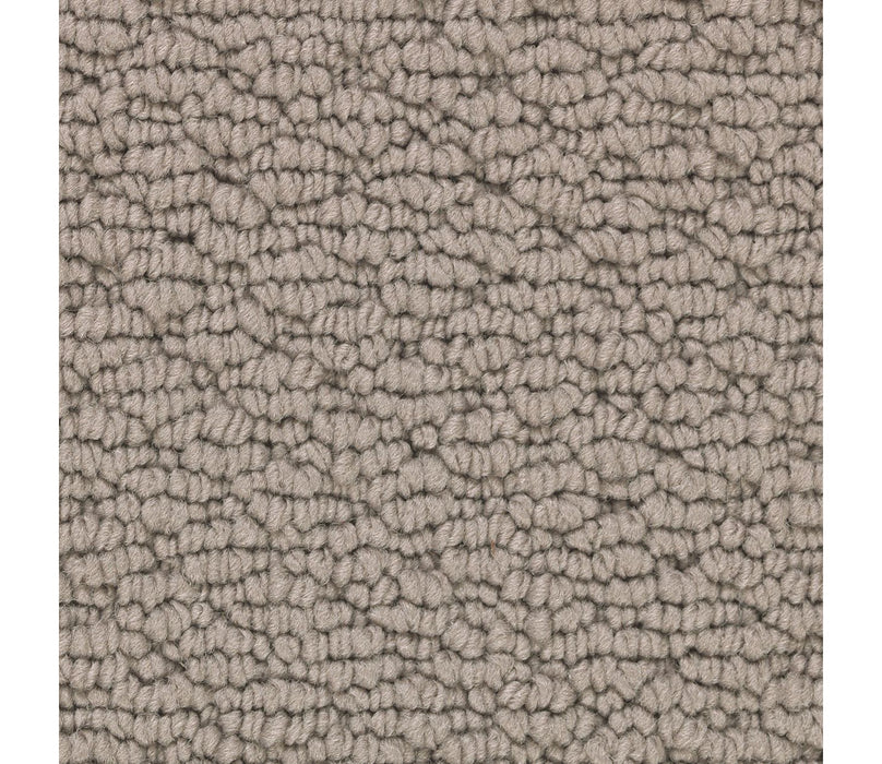 Tailored Essence Triexta Moth Wing 512 Carpet Textured 1