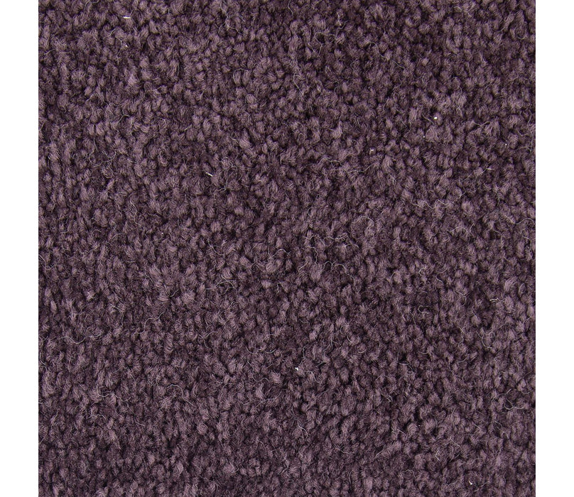 Exceptional Choice Triexta Passion 516 Carpet Textured 1
