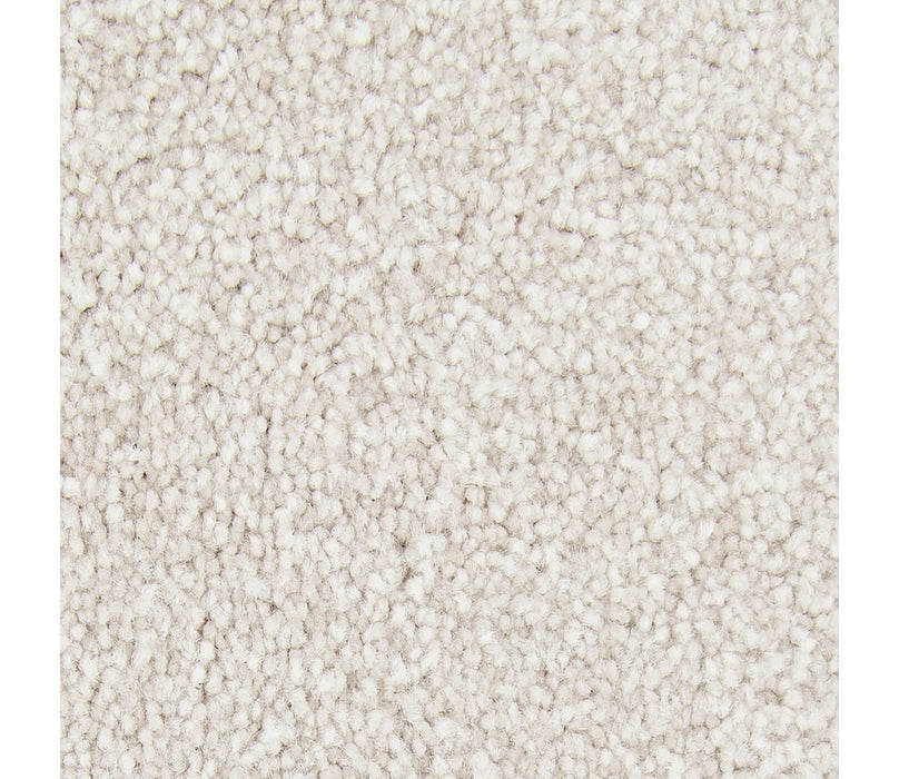 Exceptional Choice Triexta Stellar 523 Carpet Textured 1