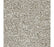 Exceptional Choice Triexta Heathery Tint 534 Carpet Textured 1