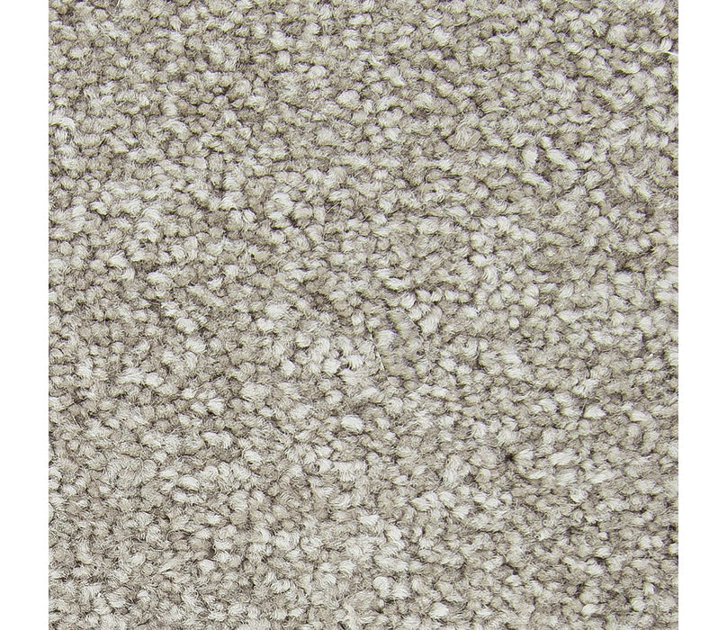 Exceptional Choice Triexta Heathery Tint 534 Carpet Textured 1
