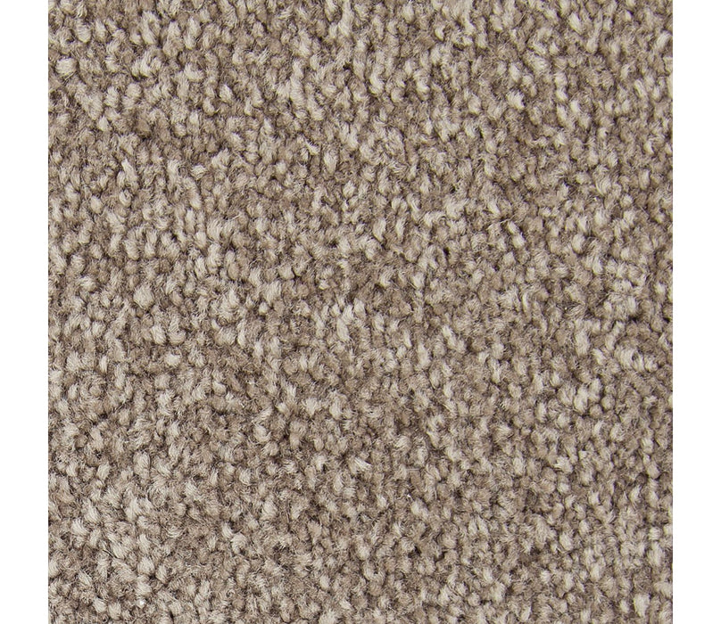 Exceptional Choice Triexta Tudor 559 Carpet Textured 1