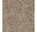 Exceptional Choice Triexta Timberlane 560 Carpet Textured 1