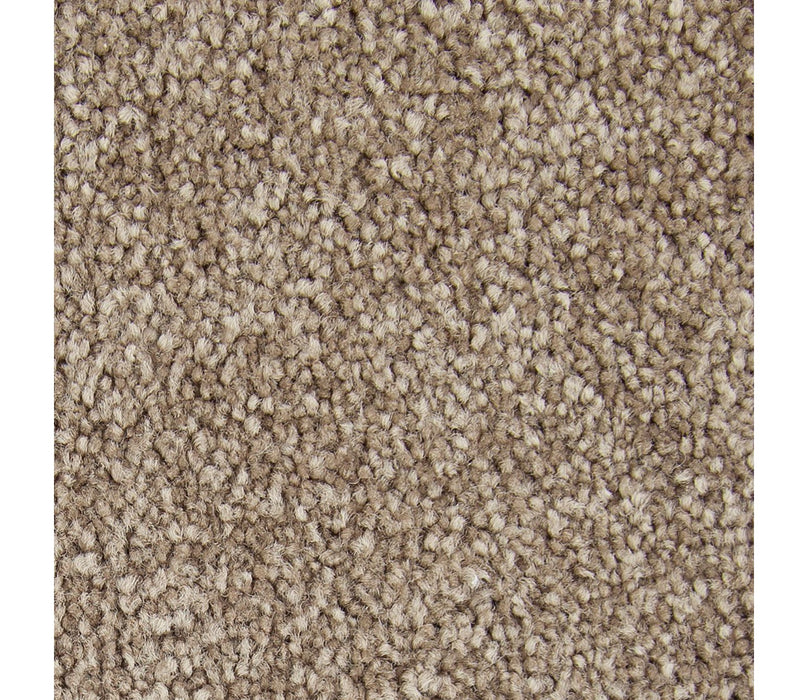 Exceptional Choice Triexta Timberlane 560 Carpet Textured 1